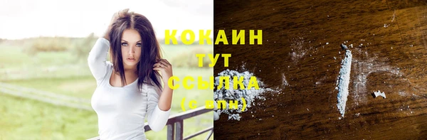 стаф Карталы