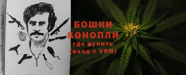 стаф Карталы
