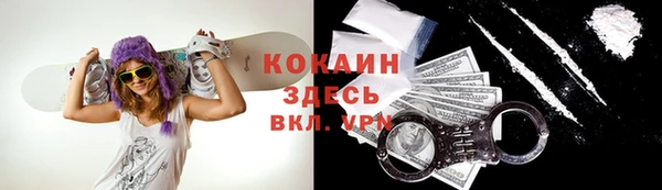 стаф Карталы