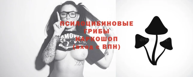 стаф Карталы