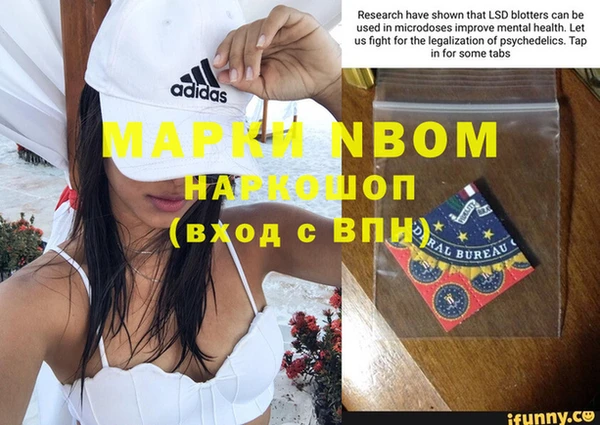 стаф Карталы