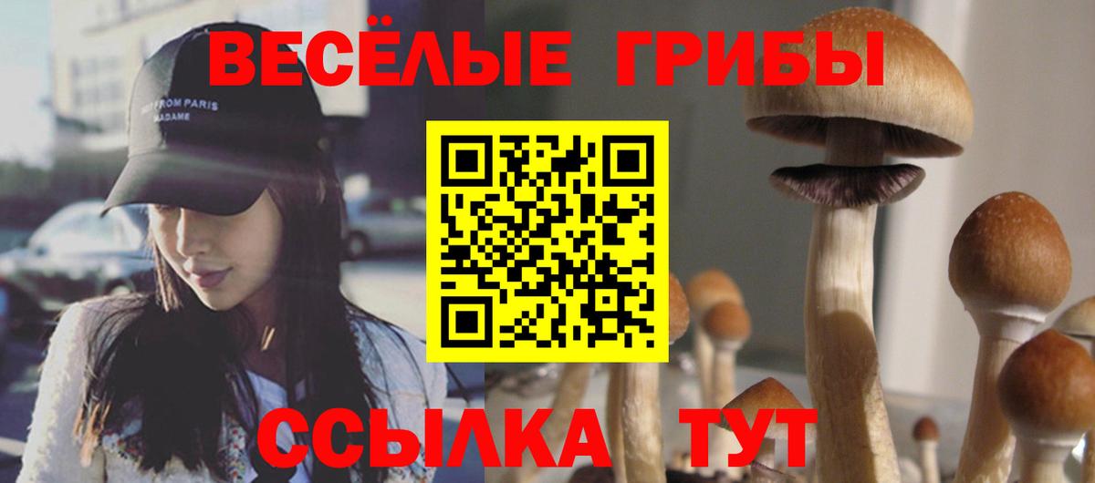 Галлюциногенные грибы прущие грибы  Галлюциногенные грибы ЛСД  Стерлитамак 